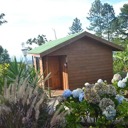 Eco Granja Don Lolo Vila Quesada  Exterior foto