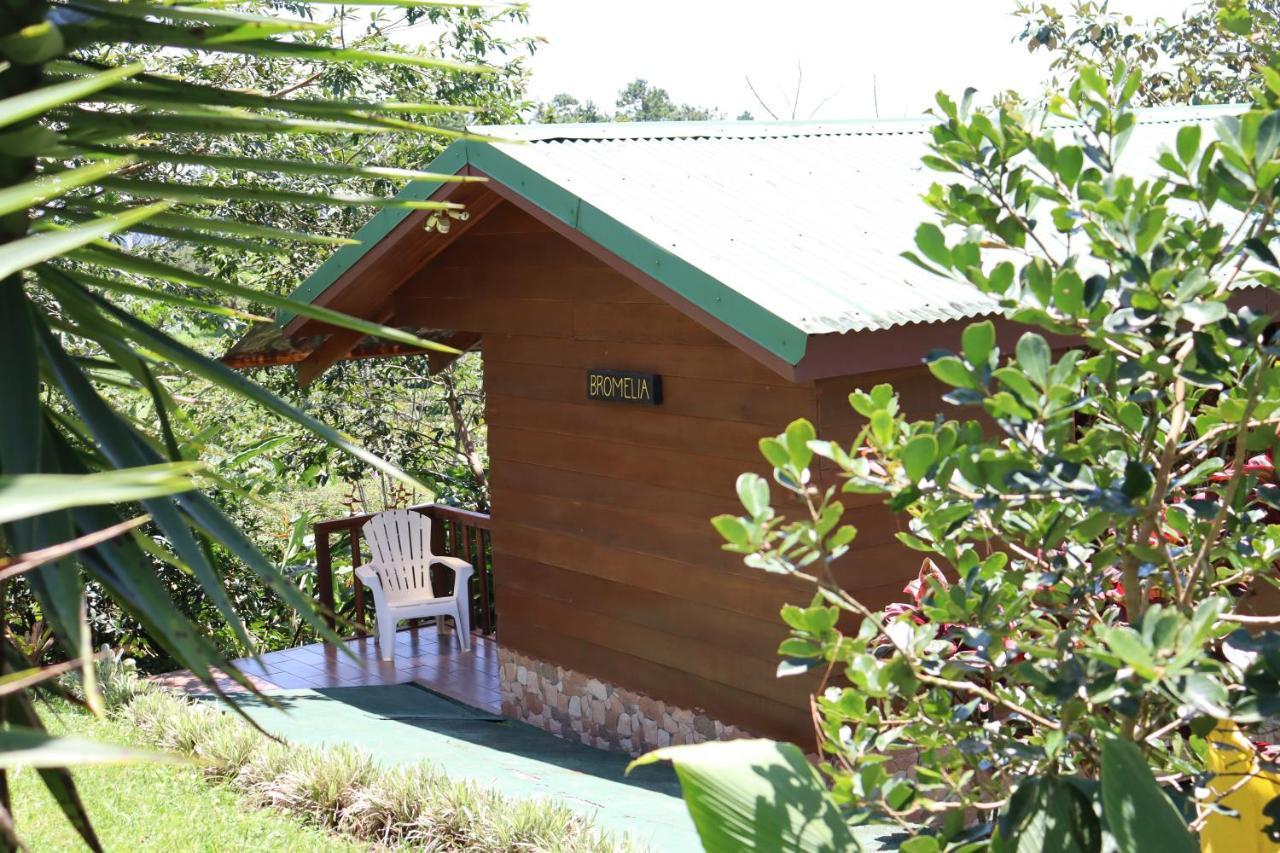 Eco Granja Don Lolo Vila Quesada  Exterior foto