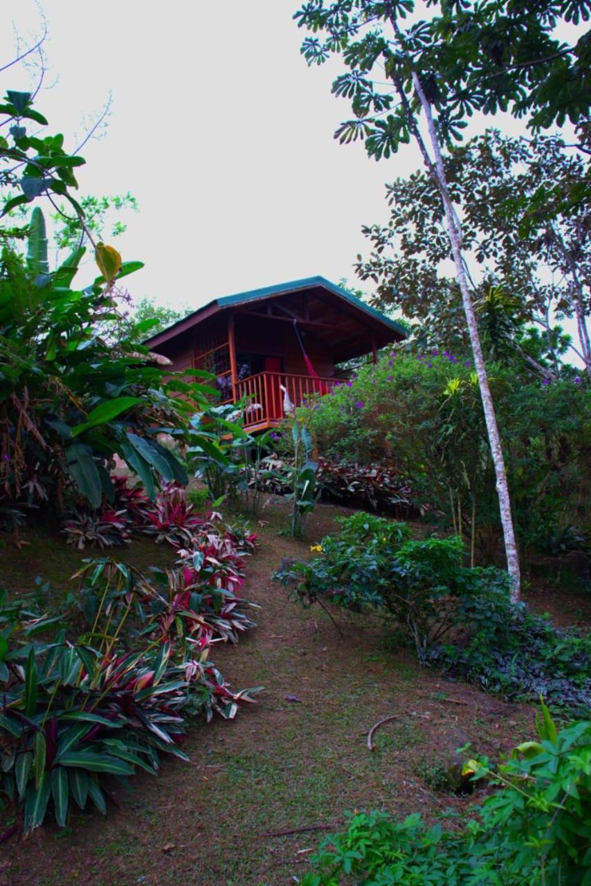 Eco Granja Don Lolo Vila Quesada  Exterior foto