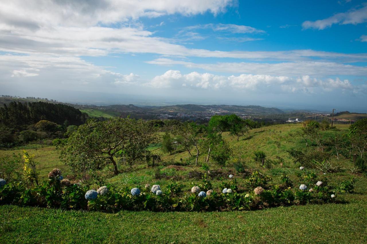 Eco Granja Don Lolo Vila Quesada  Exterior foto