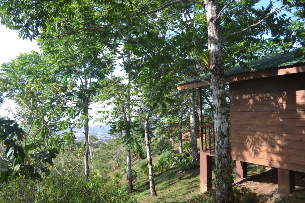 Eco Granja Don Lolo Vila Quesada  Exterior foto