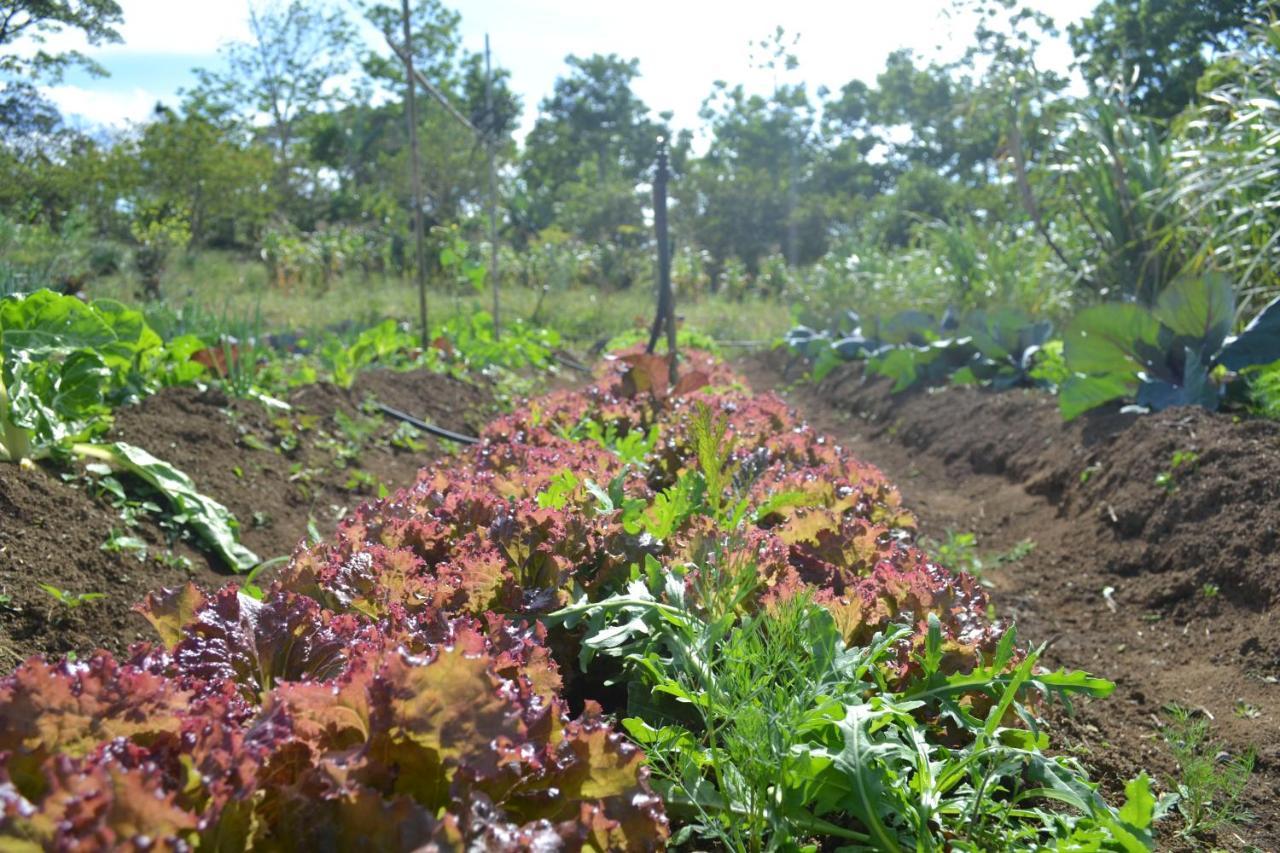 Eco Granja Don Lolo Vila Quesada  Exterior foto