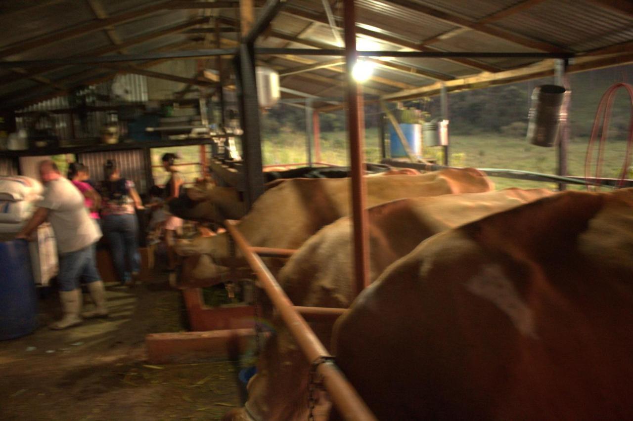 Eco Granja Don Lolo Vila Quesada  Exterior foto