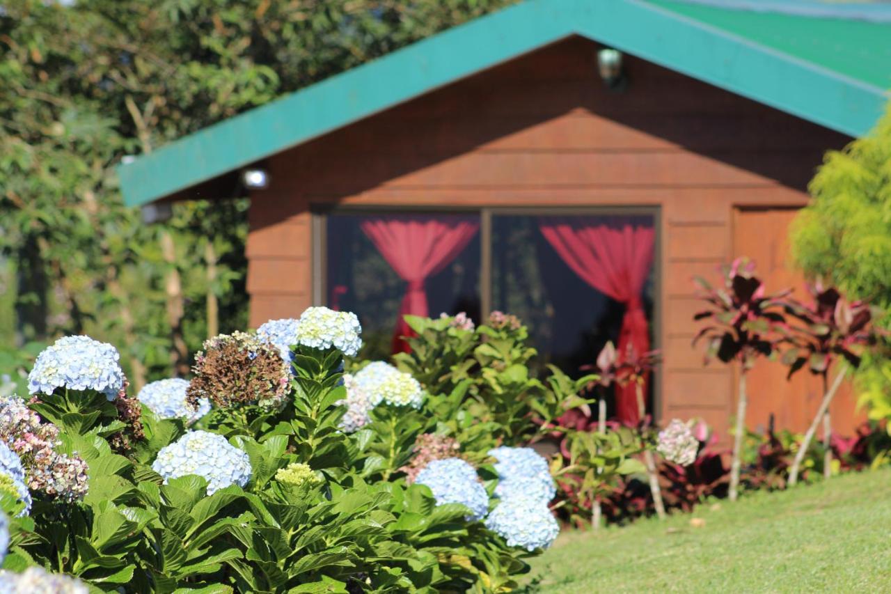 Eco Granja Don Lolo Vila Quesada  Exterior foto
